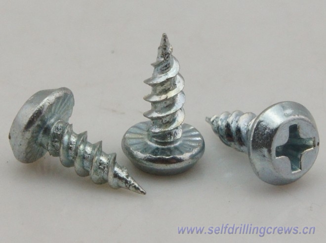 pan framing head head self tapping screws